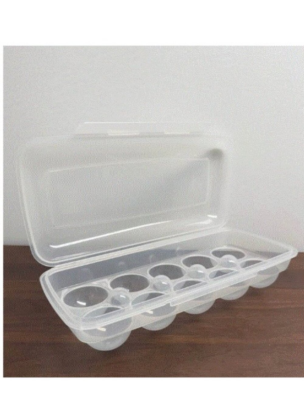 Hard Plastic Egg Container